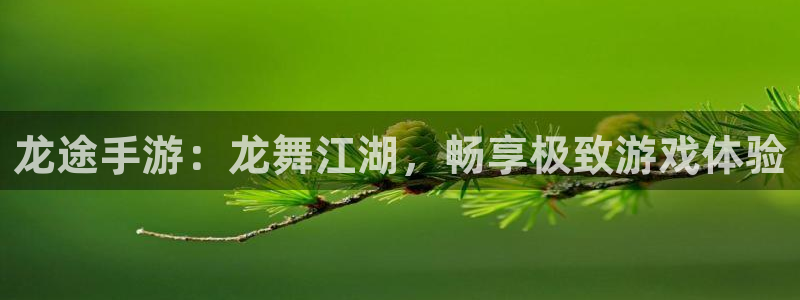28大神網(wǎng)頁：龍途手游：龍舞江湖，暢享極致游戲體驗(yàn)